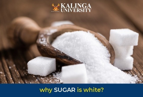 Why is Sugar white in colour?