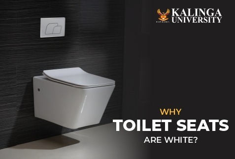 Why Toilet seats are mostly white?
