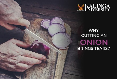 Why Cutting Onions Brings Tears?
